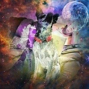 Meet your Posher, Cairee